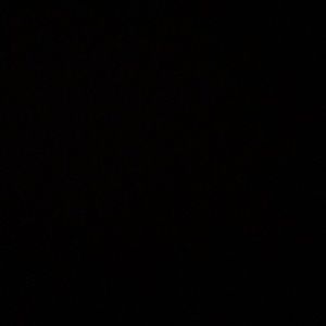 Meet your Posher, Carina